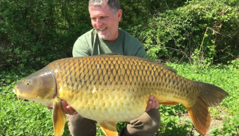 A carp from Jonchery, Apr 2018
