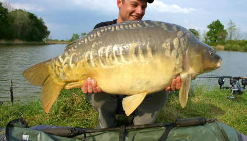 A carp from Jonchery, Apr 2014