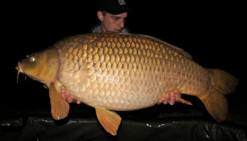 A carp from Jonchery, Apr 2012