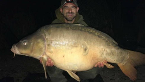 A carp from Jonchery, Oct 2017