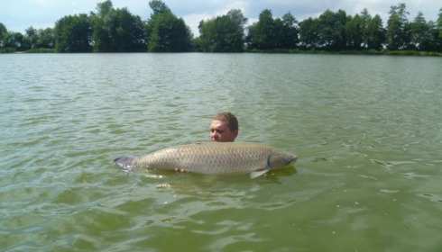 A grass carp from Jonchery, Aug 2013