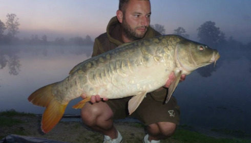 A carp from Jonchery, Aug 2014