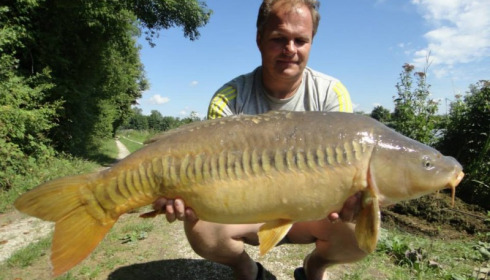 A carp from Jonchery, Jul 2014
