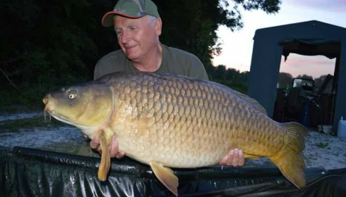 A carp from Jonchery, May 2018