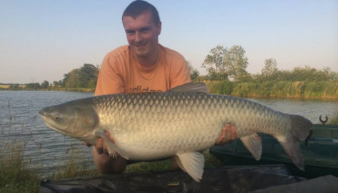 A carp from Jonchery, Jun 2014