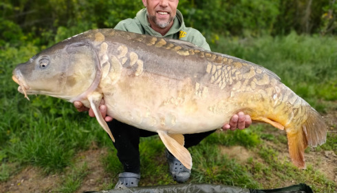 A carp from Jonchery, May 2021
