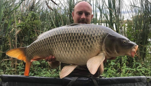 A carp from Jonchery, Aug 2018
