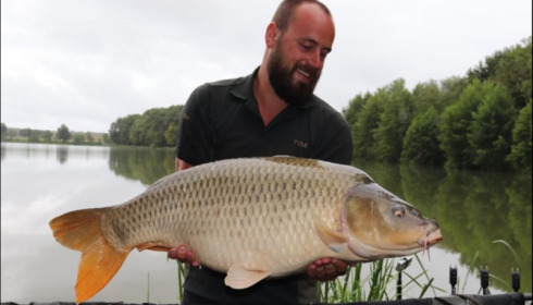 A carp from Jonchery, Aug 2019