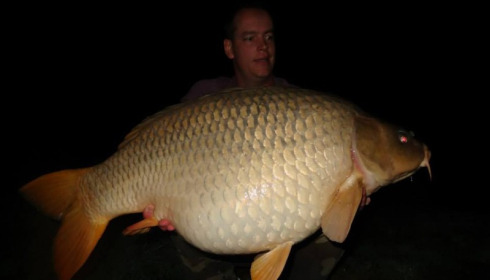 A carp from Jonchery, Nov 2014