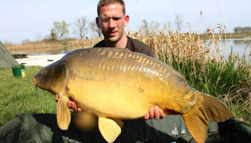 A carp from Jonchery, Swim 3, Apr 2014