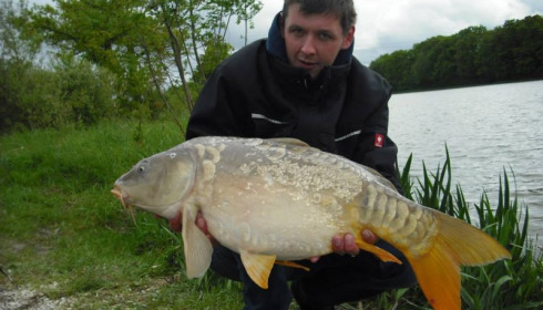 A carp from Jonchery, May 2013