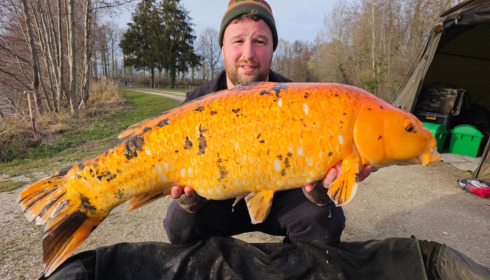 A carp from Jonchery, Joseph Kendrin, Mar 2023