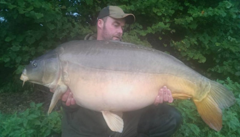 A carp from Jonchery, Oct 2014