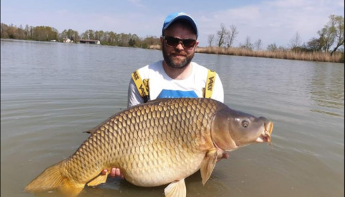 A carp from Jonchery, Apr 2019