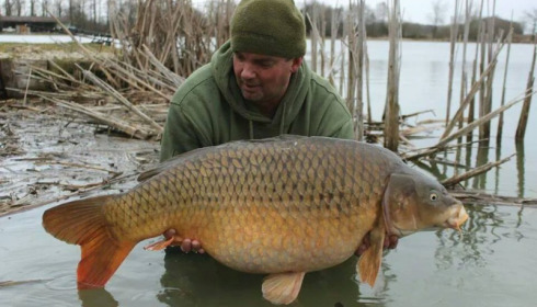A carp from Jonchery, Nick Burrage, Mar 2015