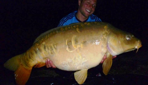A carp from Jonchery, May 2014