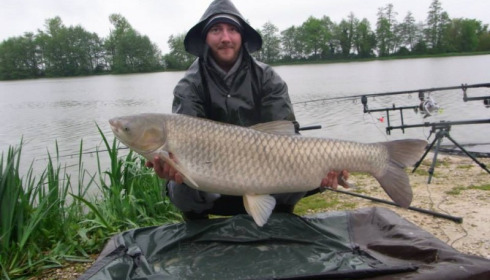 A carp from Jonchery, May 2013