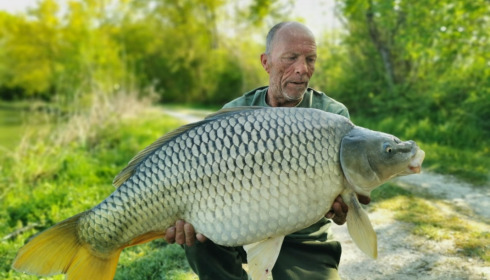 A carp from Jonchery, Apr 2022