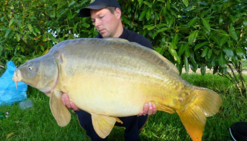 A carp from Jonchery, May 2014