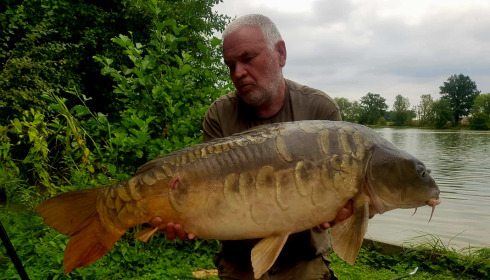 A fish from Jonchery, Aug 2022