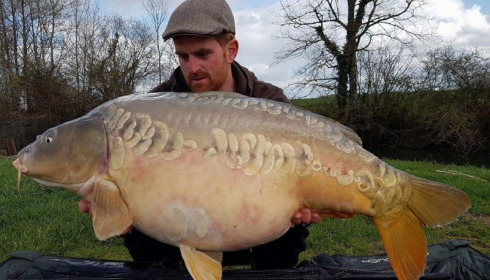 A carp from Jonchery, Apr 2016