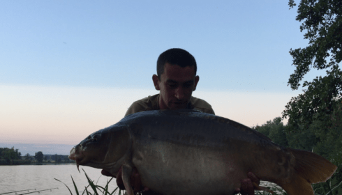 A carp from Jonchery, Carl Smith, Sep 2016