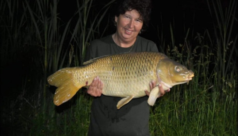 A carp from Jonchery, Jun 2019