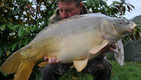 A carp from Jonchery, Swim 1, May 2014