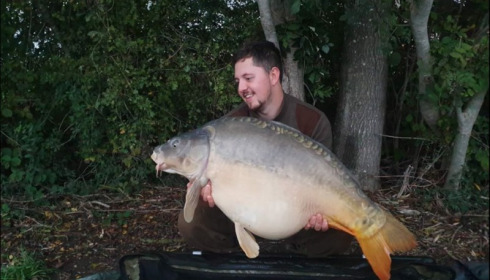 A carp from Jonchery, Oct 2019