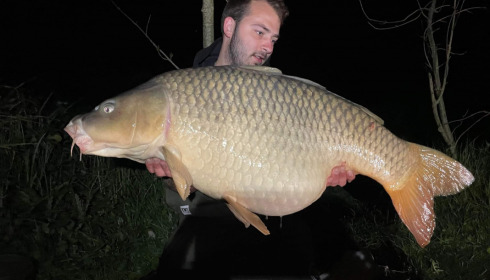 A carp from Jonchery, May 2022