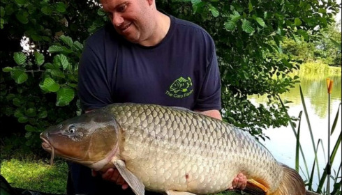 A carp from Jonchery, Aug 2019