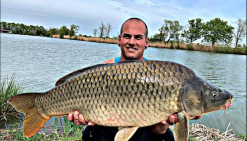 A carp from Jonchery, Apr 2019
