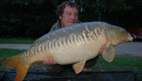 A carp from Jonchery, Sep 2015