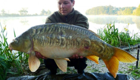 A carp from Jonchery, May 2014