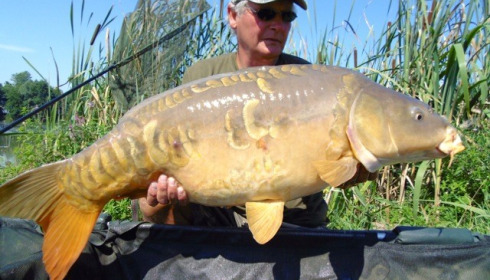 A carp from Jonchery, Jul 2014