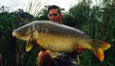 A carp from Jonchery, Sep 2014