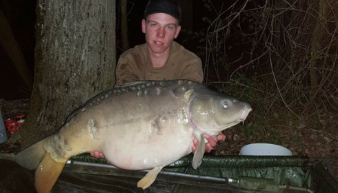 A carp from Jonchery, Apr 2018