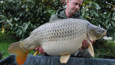 A carp from Jonchery, Swim 1, May 2014