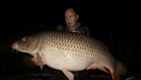 A carp from Jonchery, Oct 2014