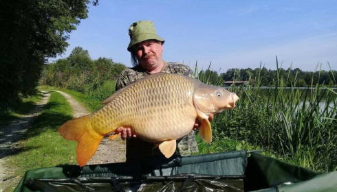 A carp from Jonchery, Sep 2017