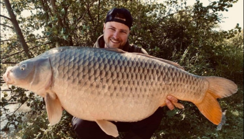A carp from Jonchery, May 2019