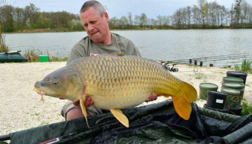 A carp from Jonchery, Swim 2, Apr 2014