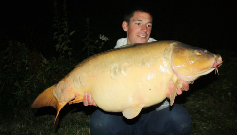 A carp from Jonchery, Aug 2015