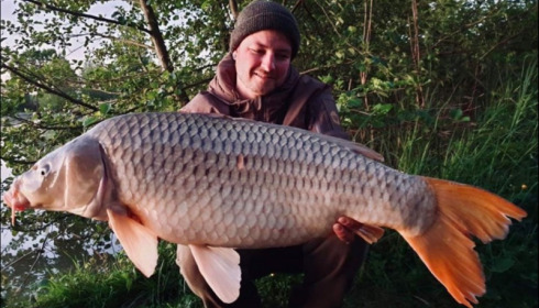 A carp from Jonchery, May 2019
