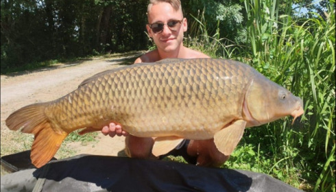 A carp from Jonchery, Jul 2019