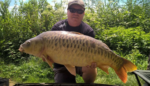 A carp from Jonchery, Jul 2017