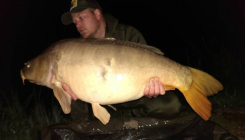 A carp from Jonchery, Oct 2014