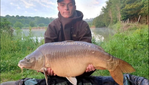 A carp from Jonchery, May 2019