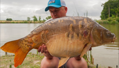 A carp from Jonchery, Thomas Parker, Jun 2019