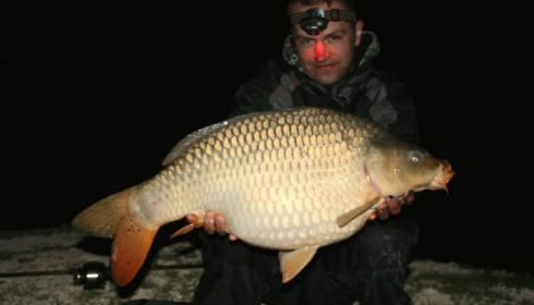 A carp from Jonchery, Swim 3, Apr 2014